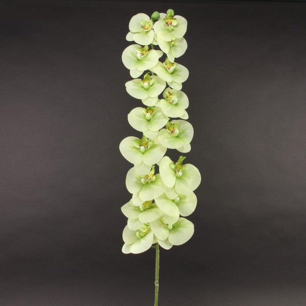 45"SOFT TOUCH SINGLE STEM X16