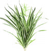27" SPIDER PLANT X107LVS