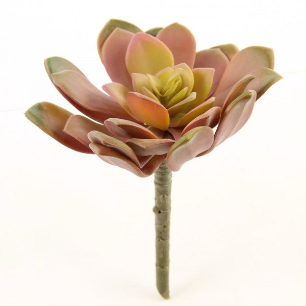 5.75" SUCCULENT STEM PINK
