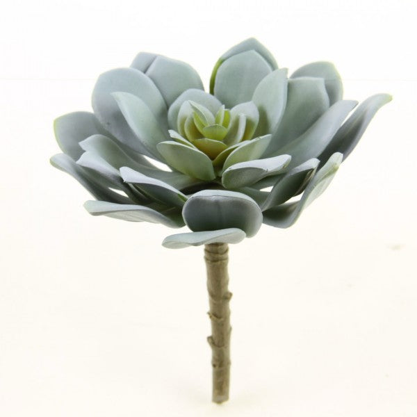 5.75" SUCCULENT STEM BLUE