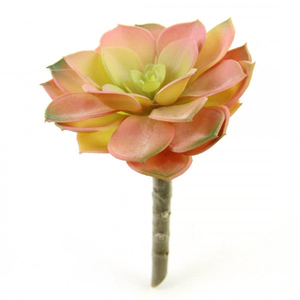 5" SUCCULENT STEM GRN/RED