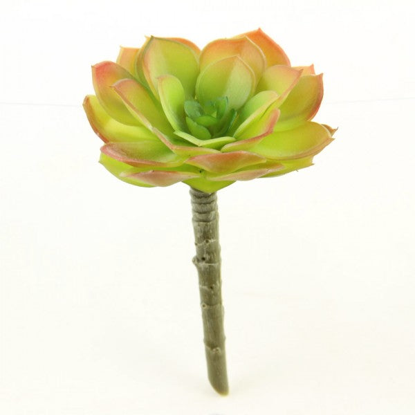 5" SUCCULENT STEM PINK