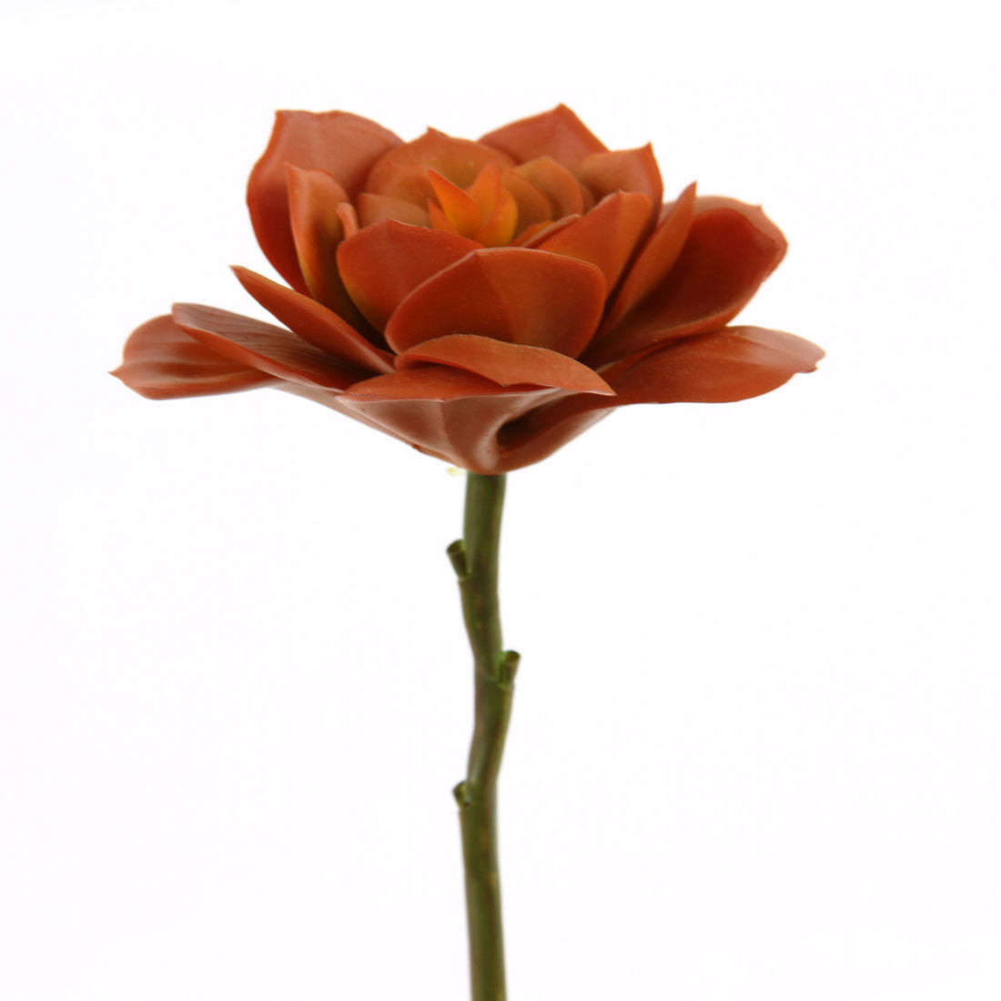 6.25"SUCCULENT STEM ORANGE