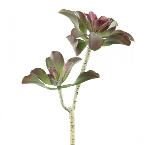 20"SUCCULENT STEM X2 GRN/RED