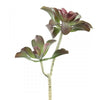 20"SUCCULENT STEM X2 GRN/RED