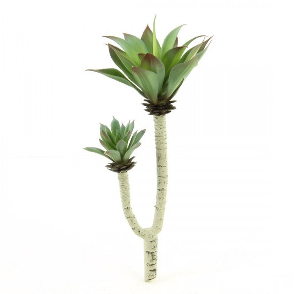 10.5" SUCCULENTS X2