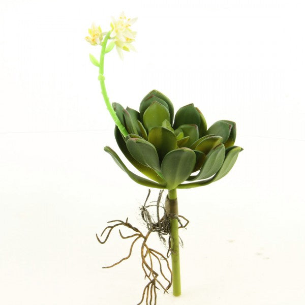 11.5"SUCCULENT PICK