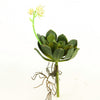11.5"SUCCULENT PICK