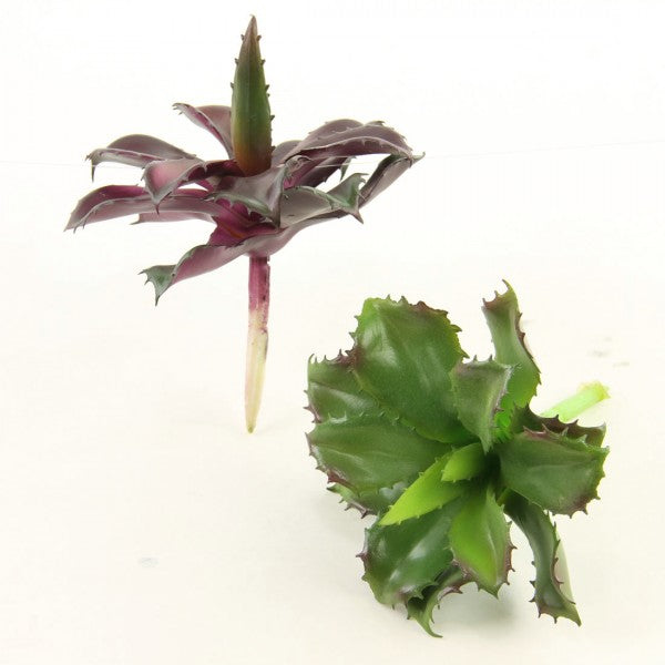 6"SUCCULENT SINGLE STEM 2/BG
