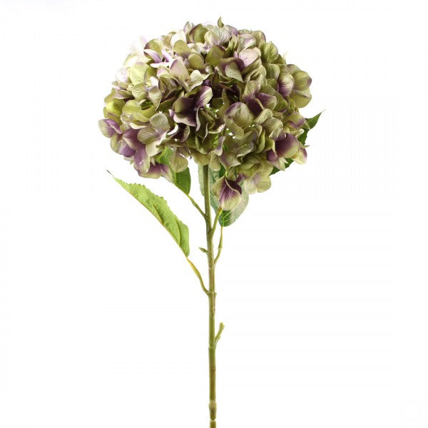 43.5"GIANT HYDRANGEA A4