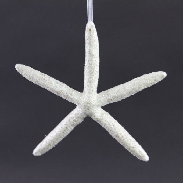 6.5" STARFISH ORNA NATURAL