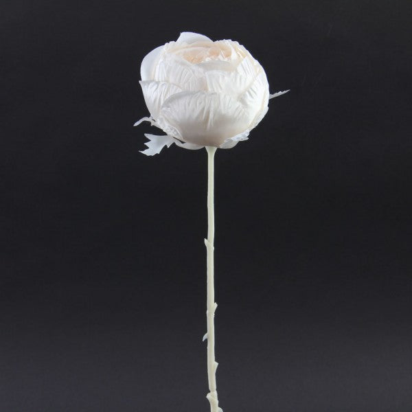 17"ROSE CREAM