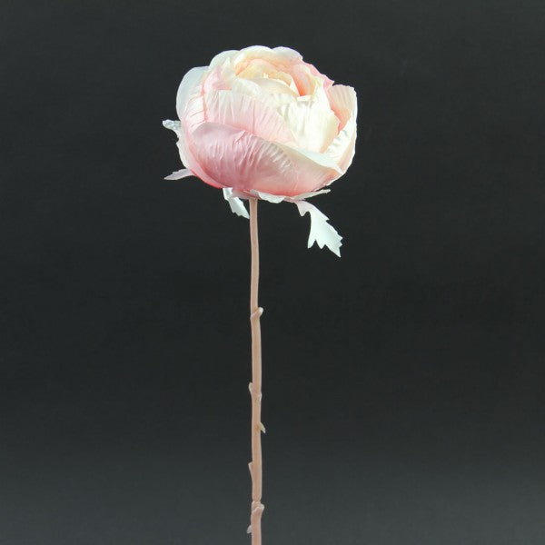 17" ROSE LT.PINK