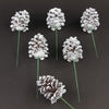 8.25"SINGLE PINE CONE 6/BG