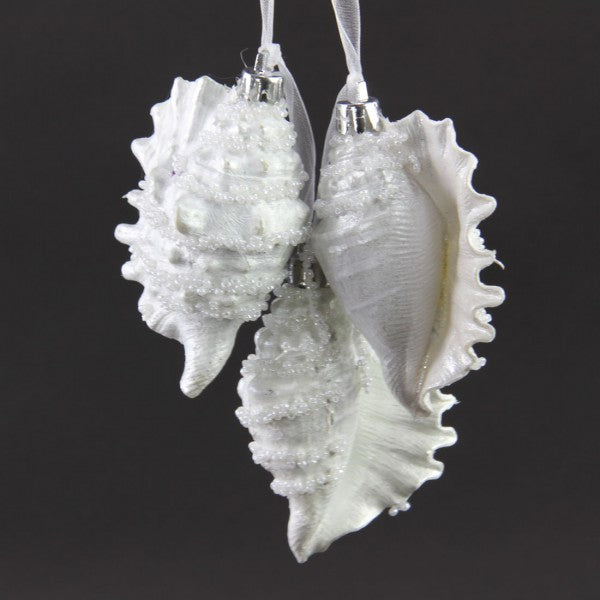 11.5"CONCH ORNA X3 WHITE