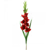 38" GLADIOLA X11 RED