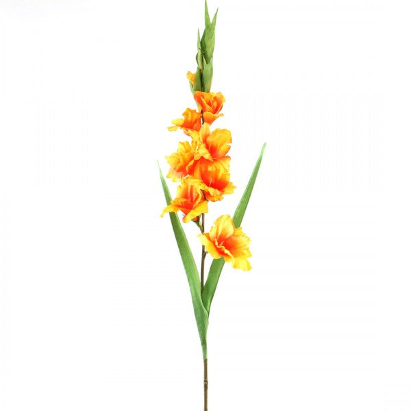 38"GLADIOLA X11 ORANG/RED A25