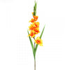 38"GLADIOLA X11 ORANG/RED A25