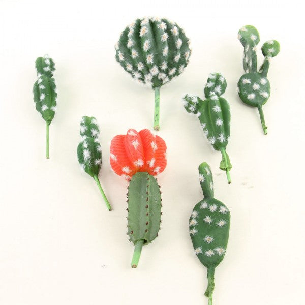 7" CACTUS 7PC/BG
