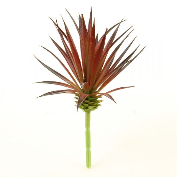 7.5"SUCCULENT BURGUNDY
