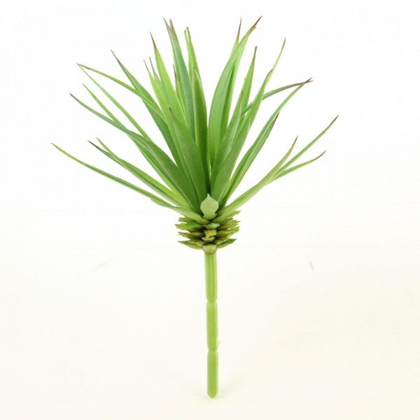 7.5"SUCCULENT GREEN