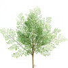 21"PLST.MAIDENHAIR FERN