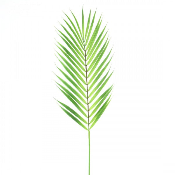 30" SPRAY