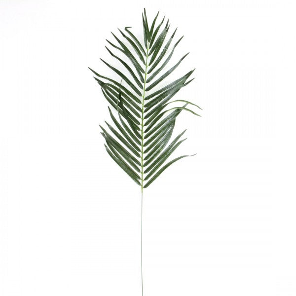 40"ARECA SINGLE STEM X42