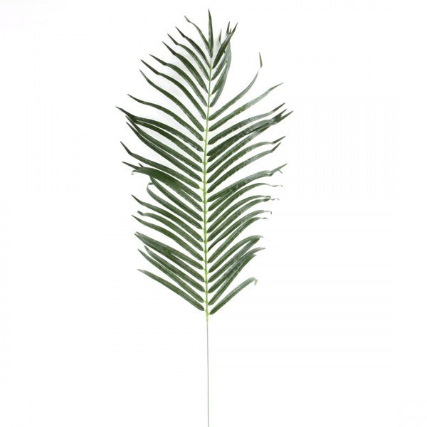 48"ARECA SINGLE STEM X50