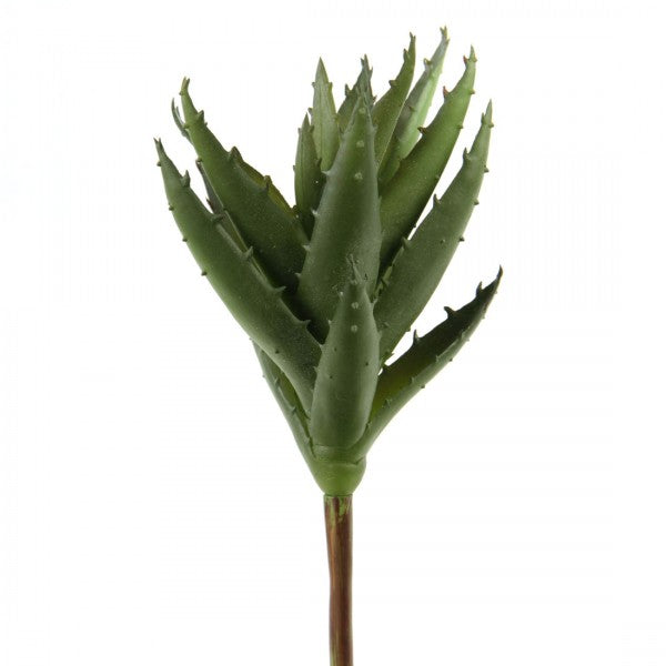8"SUCCULENT PICK