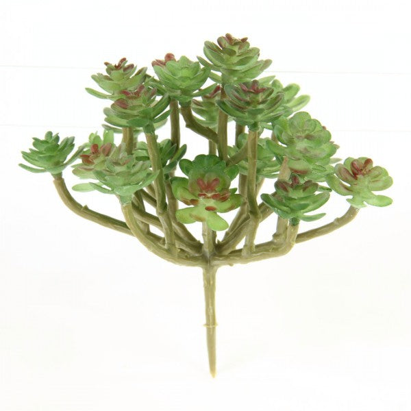 4"SUCCULENT GROUP PICK