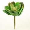 7"SUCCULENT GREEN/RED