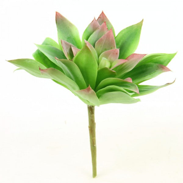 8.5"SUCCULENT STEM GREEN/RED