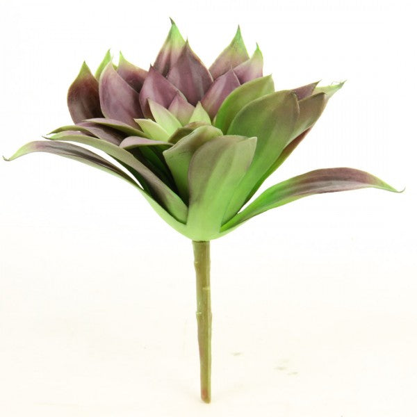 8.5"SUCCULENT STEM GRN/PURPLE