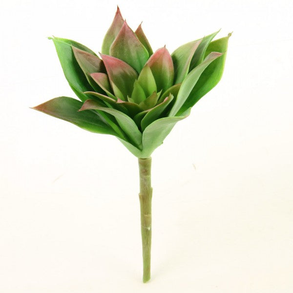 8"SUCCULENT STEM GREEN/RED