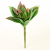 8"SUCCULENT STEM GREEN/RED