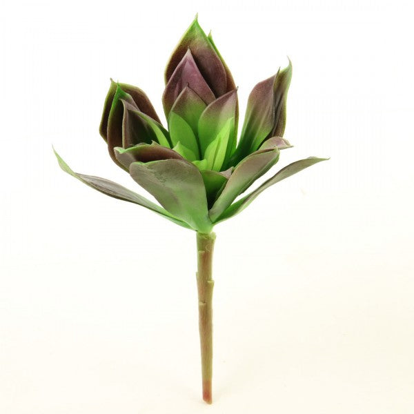 8"SUCCULENT STEM GREEN/PURPLE