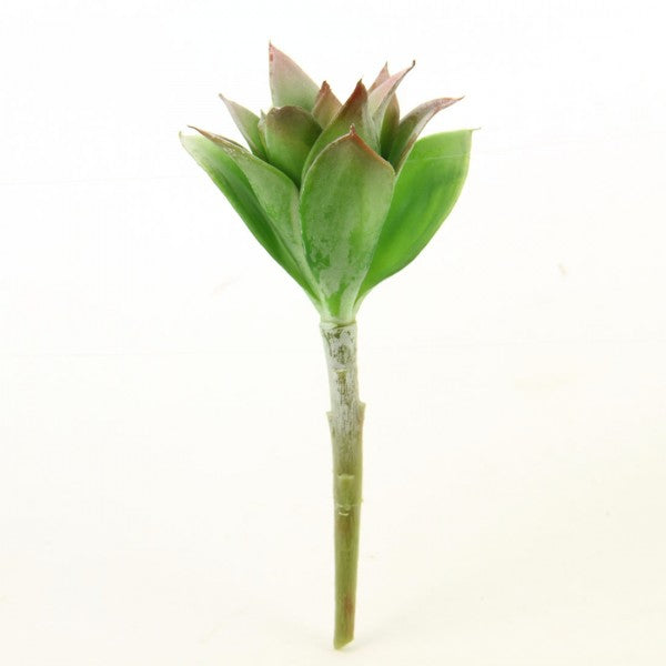 6.5"SUCCULENT STEM GREEN/RED