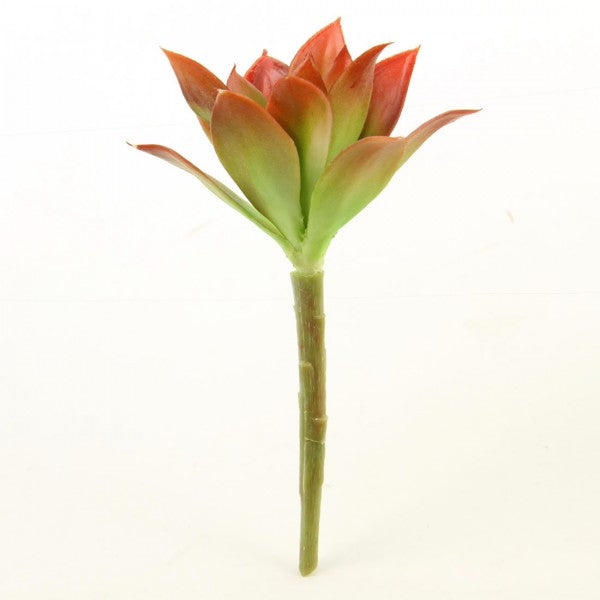 6.5"SUCCULENT STEM ORANGE