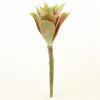 6.5"SUCCULENT STEM MAUVE