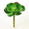 4.5"SUCCULENT GREEN
