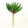 6.5"SUCCULENT GREEN/RED