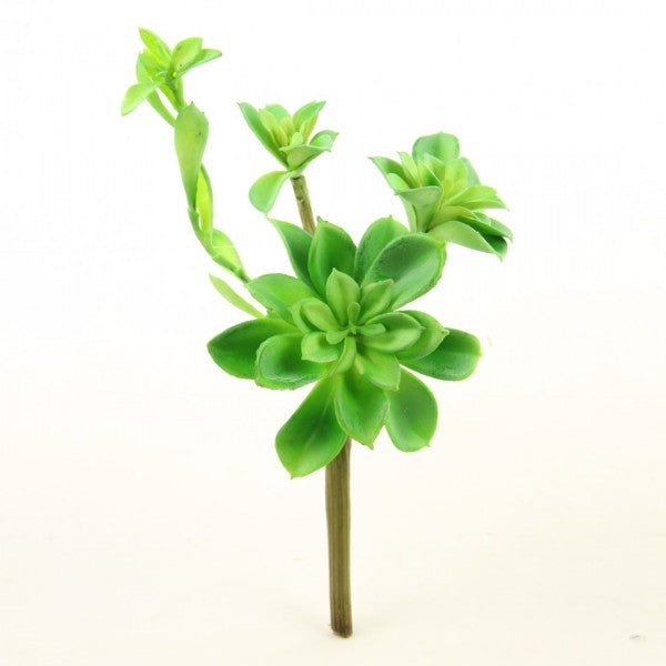 9.5"SUCCULENT GREEN