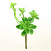 9.5"SUCCULENT GREEN