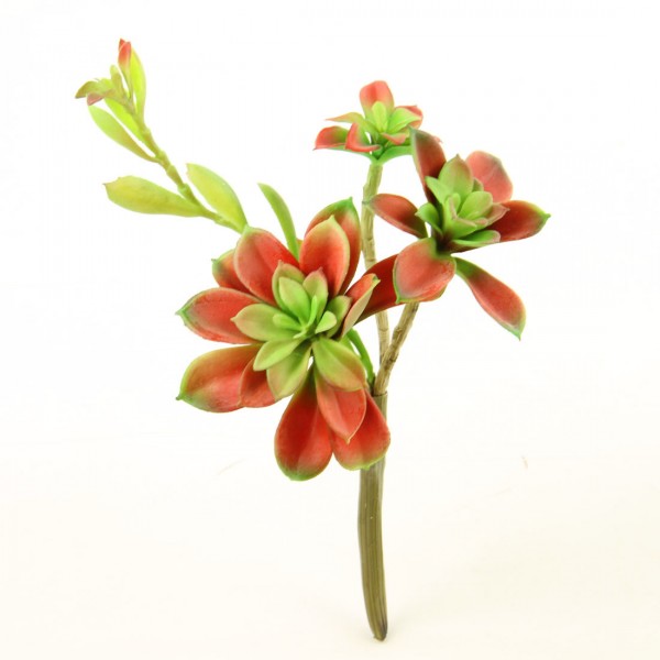 9.5"SUCCULENT RED