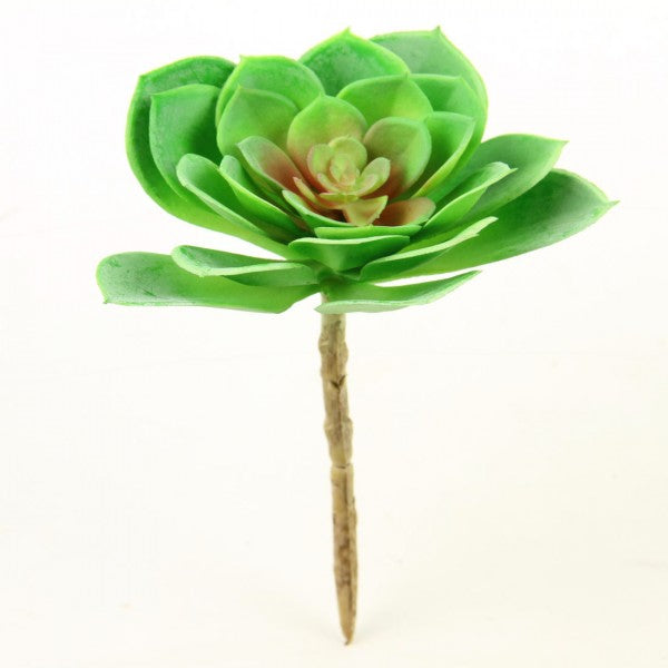 6.5"SUCCULENT STEM GREEN/RED