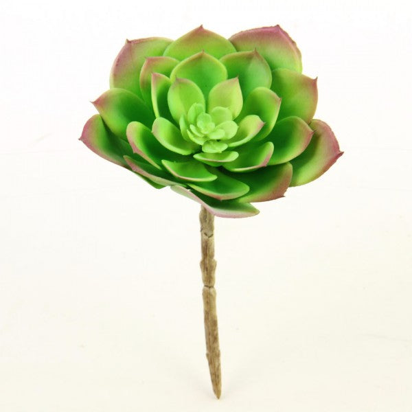 6.5"SUCCULENT STEM GREEN/PINK