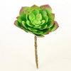 6.5"SUCCULENT STEM GREEN/PINK