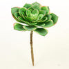 6.5"SUCCULENT STEM TT.GREEN