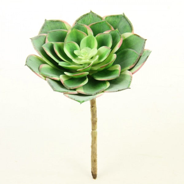 7"SUCCULENT STEM TT.GREEN